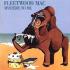 Fleetwood Mac CD - Mystery To Me